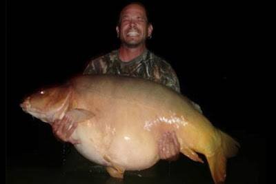 Nieuw Wereld Record Karper 101 lbs.