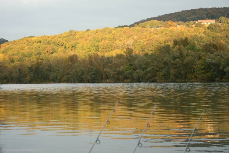 Franse Zon kleurt de natuur