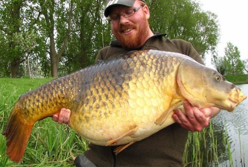 De Buffel is binnen, de baard moegestreden....