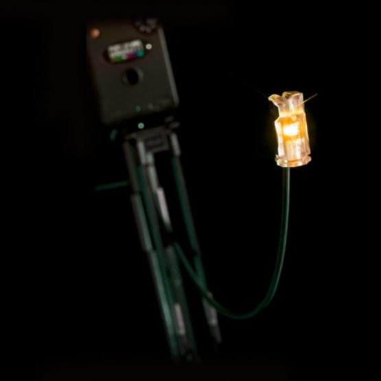 Delkim Night Light Pro